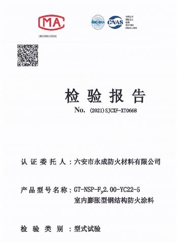 型式實(shi)驗報告