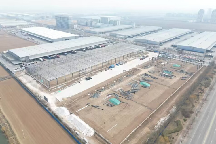 9海南(nan)海口普(pu)洛斯