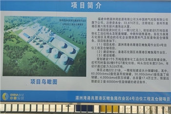 福(fu)建湄洲(zhou)（中燃能(neng)源項目(mu)）